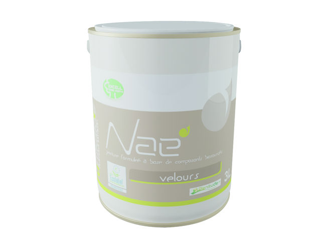 Peinture Intérieure à Base De Composants Naturels Et Biosourcés