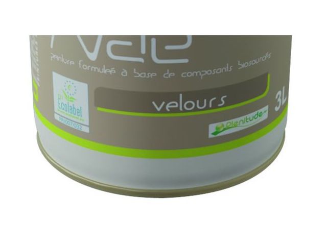 Peinture Intérieure à Base De Composants Naturels Et Biosourcés