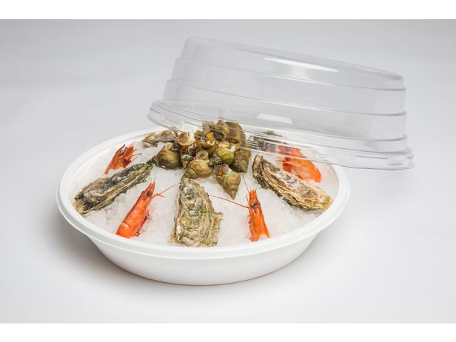Plateau pour fruits de mer thermoformé - NEMO® | Contact KNAUF INDUSTRIES
