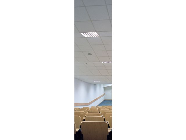 Plafond acoustique en laine de roche Ekla® Bas