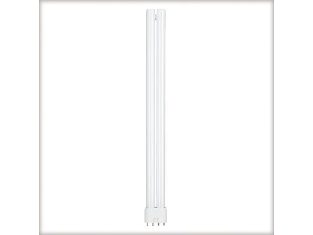 Ampoule Fluo Duo 2G11 36 Watt
