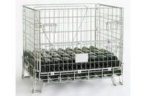 Conteneur bourgogne | 500