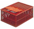 Cage à volailles en plastique | Allibert