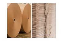 Papiers bruns biodégradables