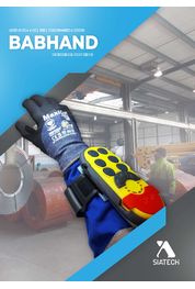 Radiocommande BabHAND