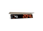Peseur d'extérieur RD100 HL | CACHAPUZ