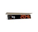 Peseur d'extérieur RD100 HL | CACHAPUZ