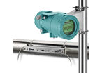 FLUXUS G800 - Débitmètre ATEX en poste fixe pour Gaz et Liquide
