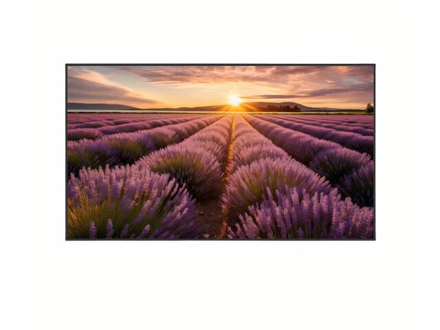 Écran 4K 65 pouces VGA/HDMI/USB/DVI | TLMV654K