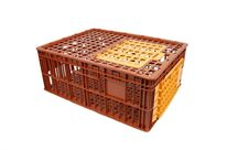 Bac de transport pour volaille CVCP320800-OR