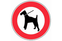 Panneau Interdit chiens sans laisse - Rigide Ø300mm - 4061511