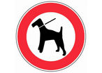 Panneau Interdit chiens sans laisse - Rigide Ø300mm - 4061511