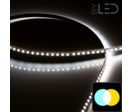 Ruban LED IP65 3528 - Blanc Pur + Chaud - 4,8W/m - 120 LED/m - 5m