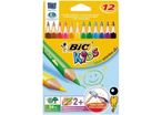 Crayons de couleur Bic Evolution triangle 4 mm Boite de 12
