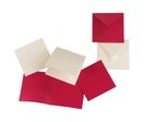 Carte DoublePollen Clairefontaine 160 x 160 Ivoire 210 gr paquet de 25