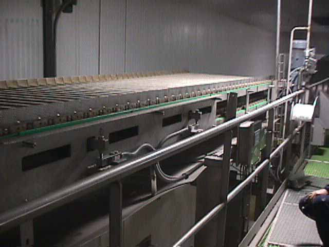 Convoyeur à bandes : tapis peseurs et doseurs pondéraux 