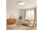 Pack de 10 - Plafonnier LED Rond 24W 220V CCT - 3000K/4000K/6000K