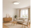 Pack de 10 - Plafonnier LED Rond 24W 220V CCT - 3000K/4000K/6000K