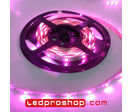 Ruban led tropicalisé étanche :  Ruban led IP66 - RGB - 7,2 W/m - Garantie 2 ans