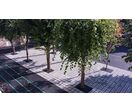 Aménagement urbain de confort climatique | Îlots de fraîcheur fixes ou modulables