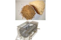 Cône Nibleur de Gericke : GCN