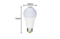 Ampoule LED E27 7W A60 avec Détecteur de Mouvement - Blanc Froid 6000K - 8000K