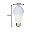 Ampoule LED E27 7W A60 avec Détecteur de Mouvement - Blanc Froid 6000K - 8000K