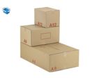 Caisse carton palettisable de type A