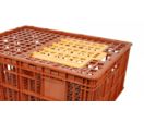 Bac de transport pour volaille CVC300800