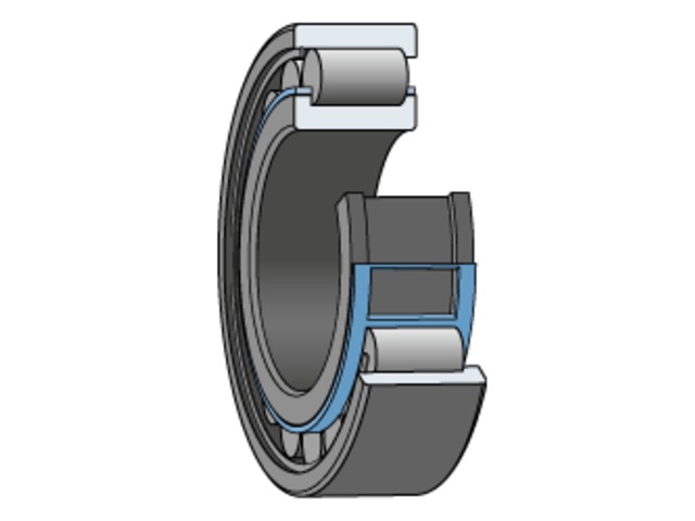 Roulements à rouleaux cylindriques haute capacité