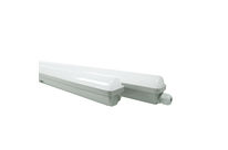 Parklight 150cm 30W 2700 LM 6500K IP65