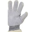 Gants anti-coupure - MASTERTOPMT20