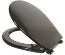 Black International Wc Seat Polyprop