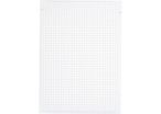 Fiche bristol Business 14,8x21 petit carreaux Blanc - étui de 100