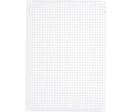 Fiche bristol Business 14,8x21 petit carreaux Blanc - étui de 100