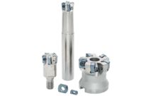 Fraises Grande-Avance | DoFeed 