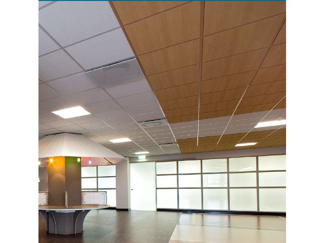 Plafond acoustique en laine de roche Ligna®