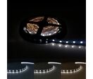 Bandeau LED 12V 5M 5050 60LED/m - Blanc Froid 6000K - 8000K / IP44