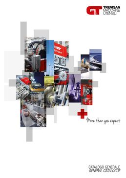 CENTRES DE TOURNAGE-FRAISAGE et ALÉSEUSES DE GRANDES DIMENSIONS TREVISAN