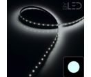 Ruban LED IP65 5050 - Blanc - 7,2W/m - 30 LED/m - 5m
