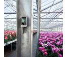 Enregistreur de température et d'humidité autonome | testo 175 H1 