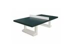 Table ping pong béton - Pongiste