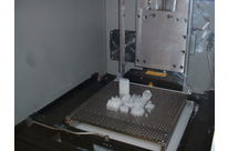 PROTOTYPAGE RAPIDE COULEE SOUS VIDE