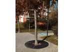Grille d'arbres ronde