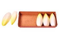 Barquettes Endives Pur’Pack en carton ondulé