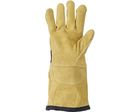Gants anti-coupure - RIPDEXG