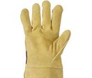Gants anti-coupure - RIPDEXG