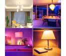Pack de  10 - Ampoule LED Connectée Wifi E27 9W RGBW A60