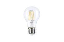 Ampoule LED E27 A70 12W Filament - Blanc Froid 6000K - 8000K