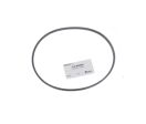 V-Belts for D 547 | AUDION PACKAGING MACHINES